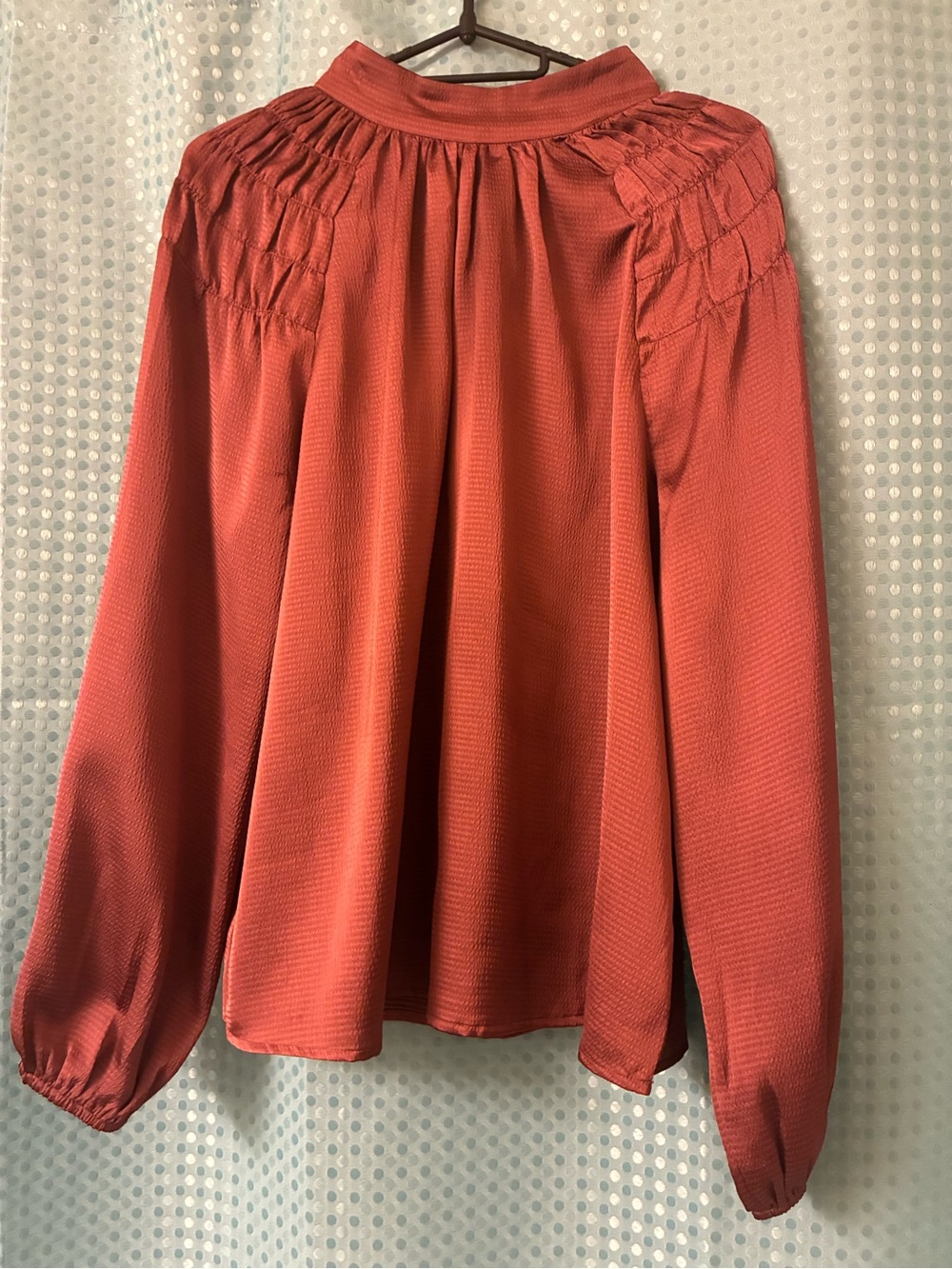 Rust brown Smocked Yoke Long Sleeve Blouse